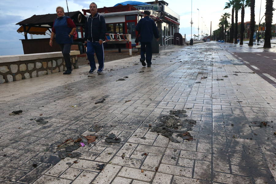 Heavy rain hits Malaga province